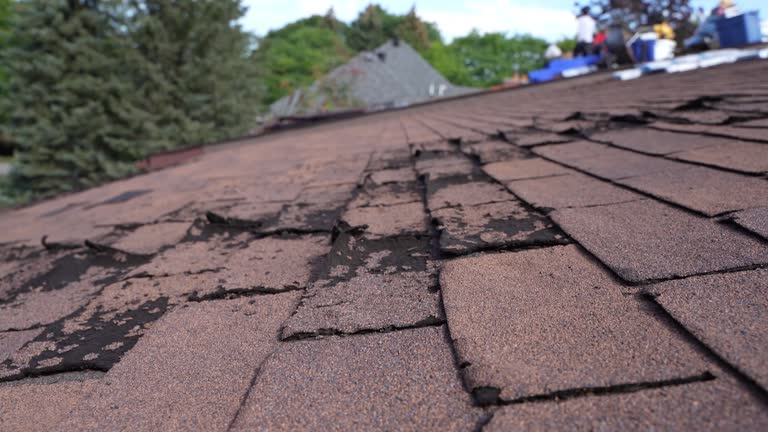 Best Skylight Installation and Repair  in Union City, IN
