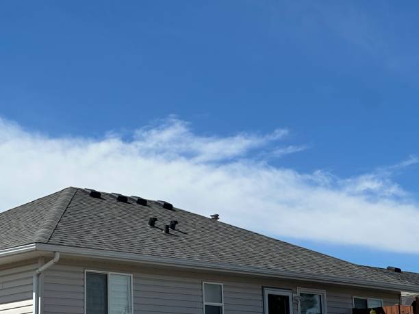 Best Roof Coating and Sealing  in Union City, IN